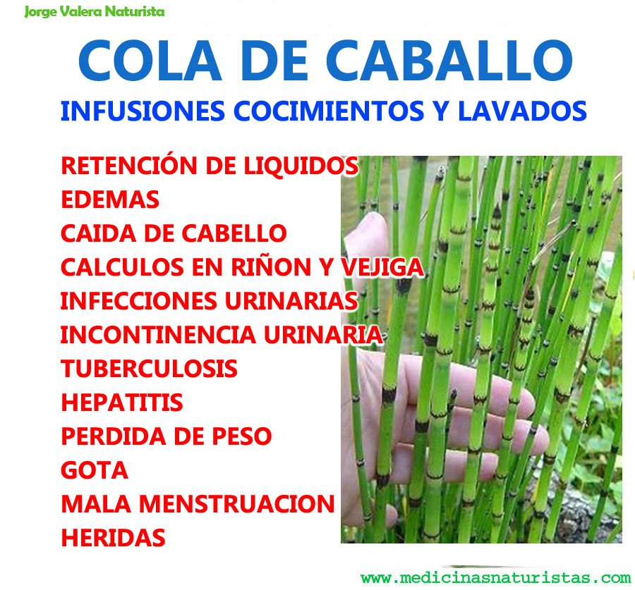 Por qué los cabellos no crecen de mostaza la máscara